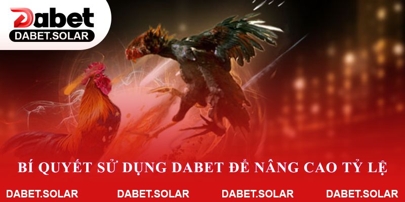 Bí quyết sử dụng dabet để nâng cao tỷ lệ chọn màu gà thắng