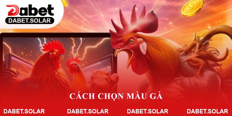 Cách Chọn Màu Gà