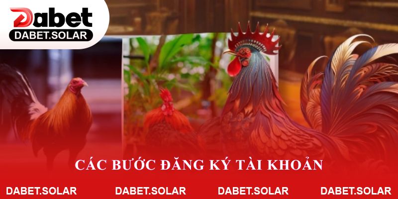 Các bước đăng ký tài khoản để tham gia đá gà cựa dao