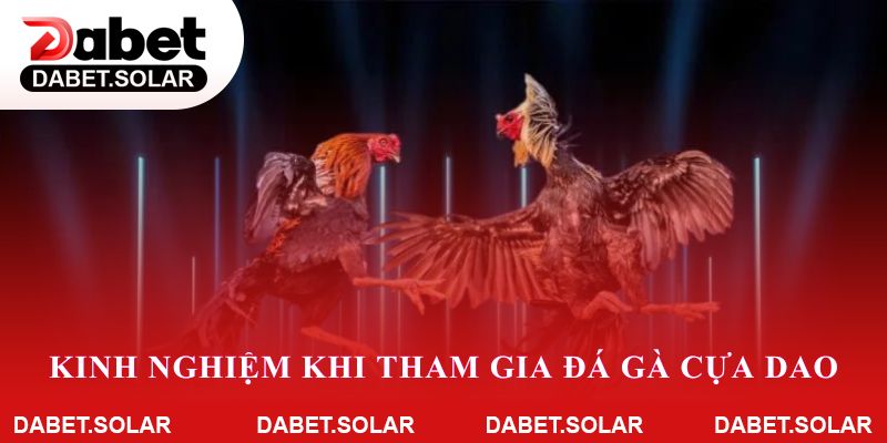 Những kinh nghiệm khi tham gia đá gà cựa dao trực tuyến trên dabet