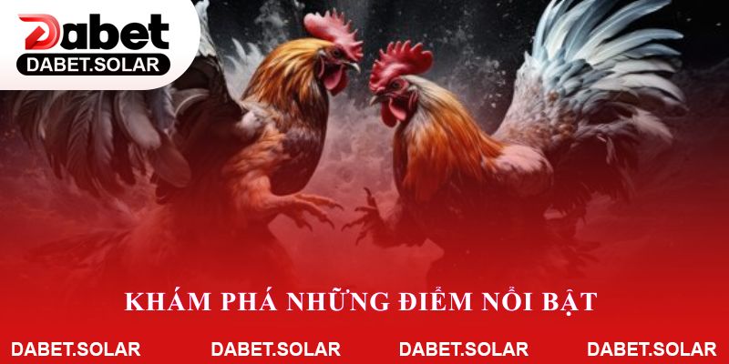 Khám phá những điểm nổi bật khi tham gia đá gà dabet