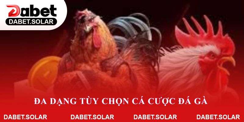 Đa dạng tùy chọn cá cược đá gà hấp dẫn trên dabet