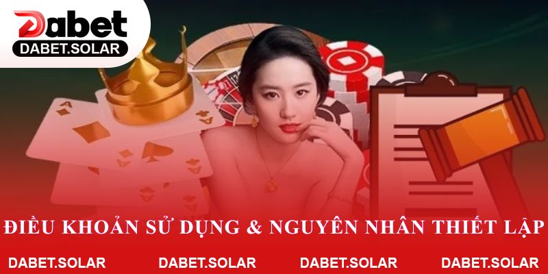 Điều khoản sử dụng và nguyên nhân thiết lập
